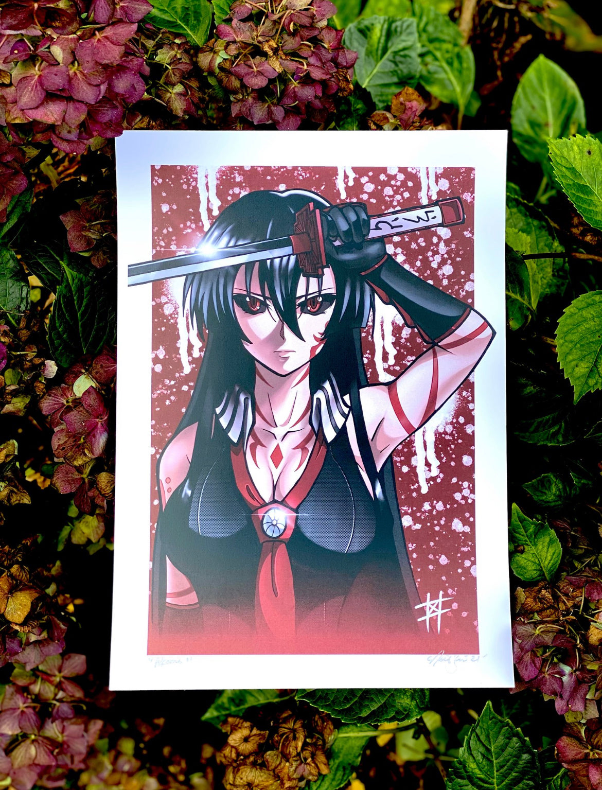 Akame print